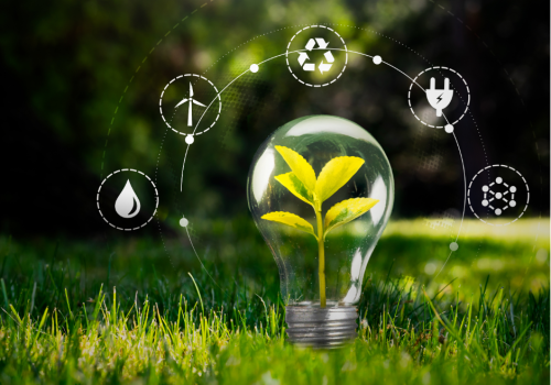 Sustentabilidade arte